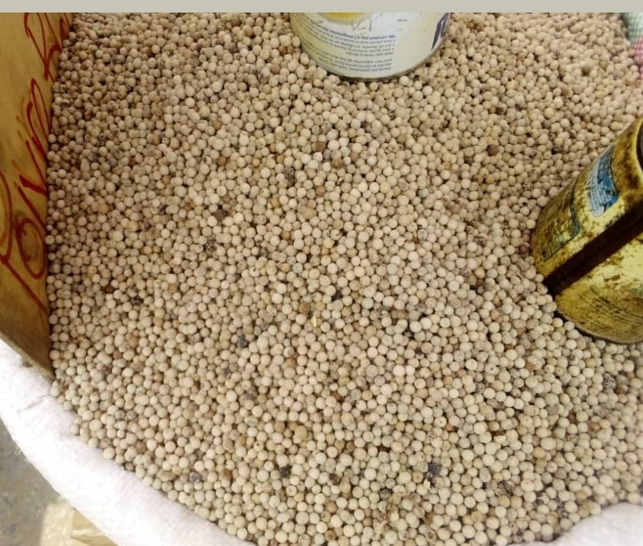 img-WhatsApp Image 2025-05-10 at 05.14.26_5147f9a2.jpg